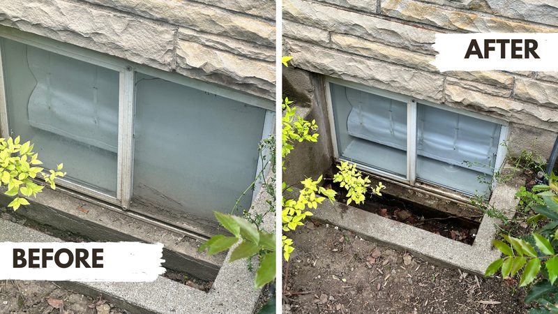 Window screen cleaning service - spotless results